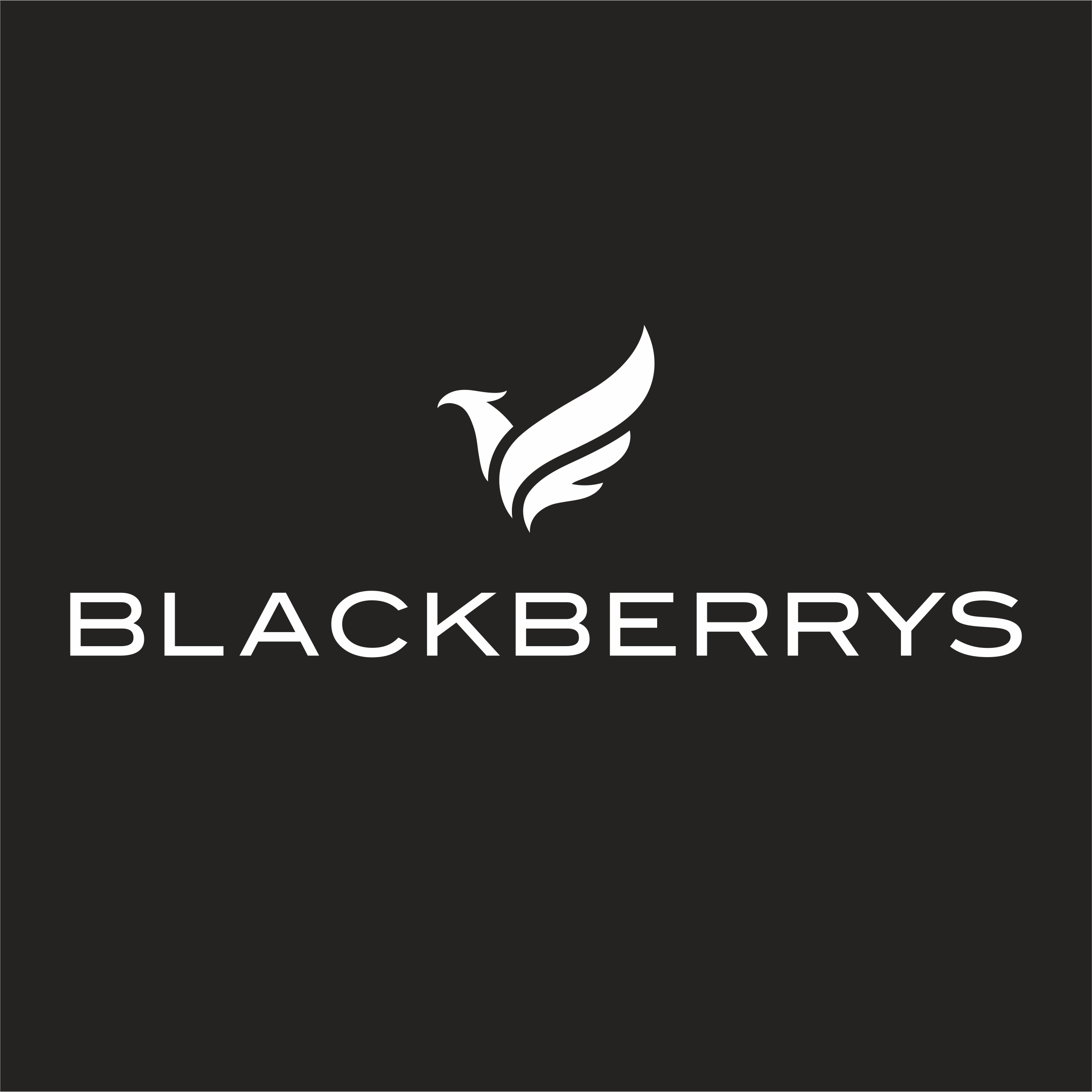 Blackberrys-client-in-baba-supersign