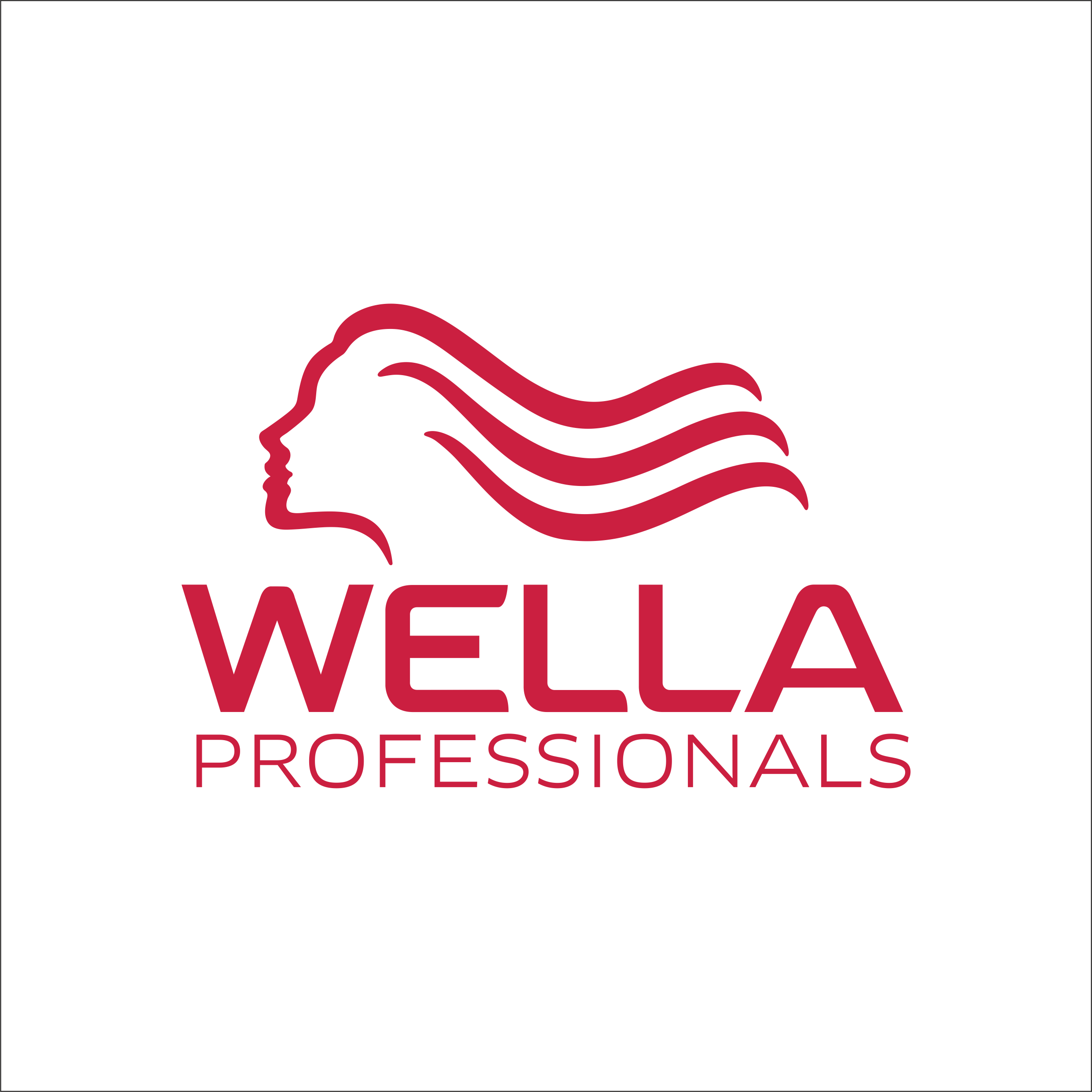 Wella-client-in-baba-supersign
